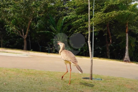 Terreno à venda no condomínio Up Residencial, Votorantim - SP