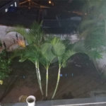 Sobrado à venda com 4 quartos, sendo 1 suíte,  em Vila Curuçá, Santo André, SP