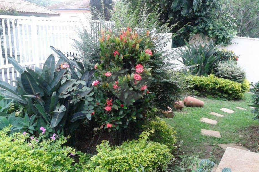 Casa Térrea à venda ou para alugar com 4 suítes em Jardim Floresta, São Paulo, SP