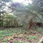 Terreno à venda no condomínio Associação Reserva das Hortênsias, Mairiporã - SP