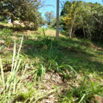 Terreno à venda em Jardim Morumbi, São Paulo, SP