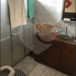 Casa à venda com 3 quartos, sendo 1 suíte,  em Jardim Santa Júlia (vila Xavier), Araraquara, SP