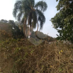 Terreno à venda em Jardim São João (zona Norte), São Paulo, SP