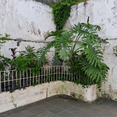 Sobrado à venda com 3 quartos, sendo 1 suíte, em Jardim São Paulo(zona Norte), São Paulo, SP