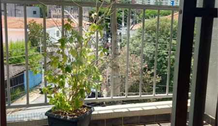 Apartamento à venda com 2 quartos em Jardim Caravelas, São Paulo, SP