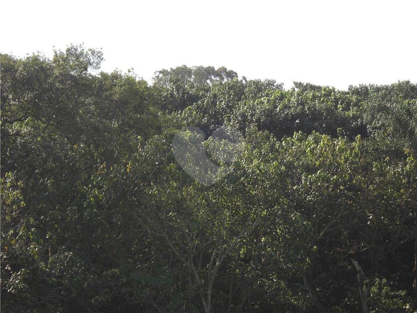 Área de Terra à venda em Porteira Preta, Mogi das Cruzes, SP