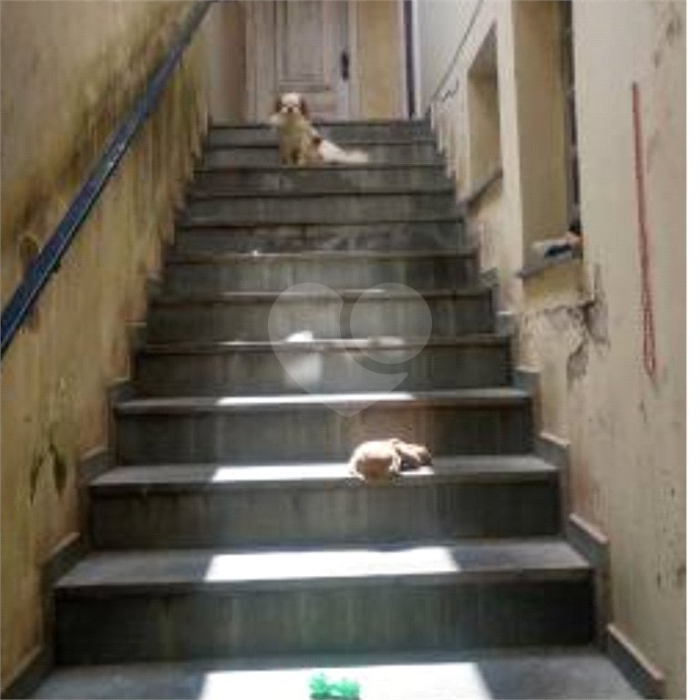 Sobrado à venda com 3 quartos, sendo 1 suíte,  em Vila Universitária, São Paulo, SP