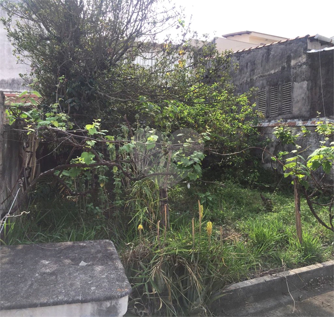 Casa à venda com 3 quartos em Jardim Franca, São Paulo, SP