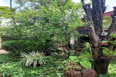 Casa à venda com 3 quartos em Vila Inah, São Paulo, SP