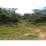 Terreno à venda no condomínio Maracanã, Santo André - SP