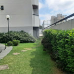 Apartamento à venda com 2 quartos, sendo 1 suíte, em Casa Verde, São Paulo, SP