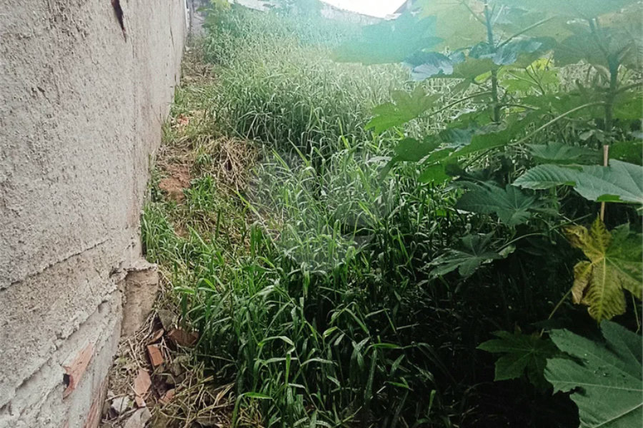 Terreno à venda em Tremembé, São Paulo, SP