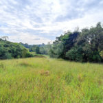Terreno à venda em Residencial Reserva da Mata, Itapetininga, SP