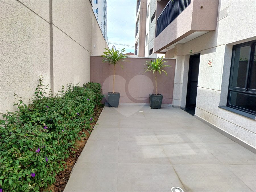 Apartamento para alugar com 2 quartos, sendo 1 suíte, em Tucuruvi, São Paulo, SP