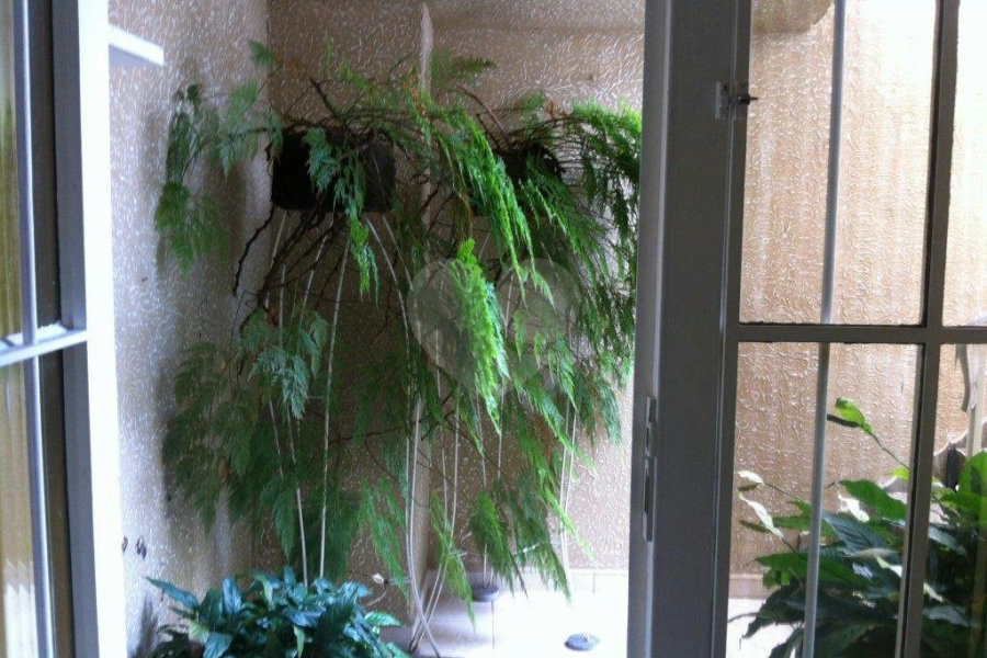 Sobrado à venda com 2 quartos em Vila Maria Alta, São Paulo, SP