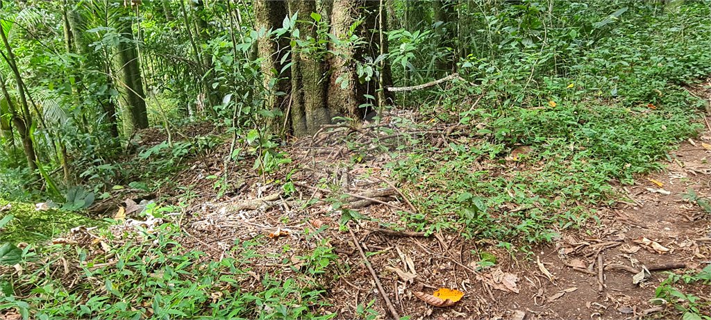Terreno à venda em Caraguatá, Mairiporã, SP