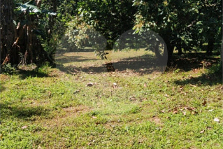 Chácara à venda com 5 quartos, sendo 1 suíte, em Estância São Luís, Suzano, SP