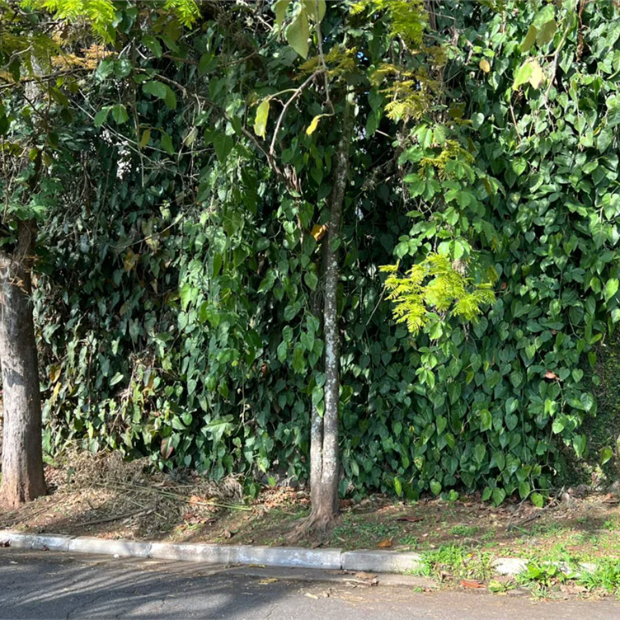 Terreno à venda no condomínio Jardim Vitória Régia, São Paulo - SP