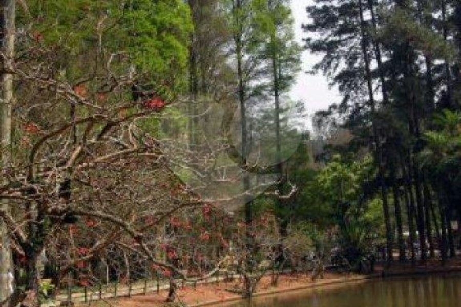 Terreno à venda em Horto Florestal, São Paulo, SP