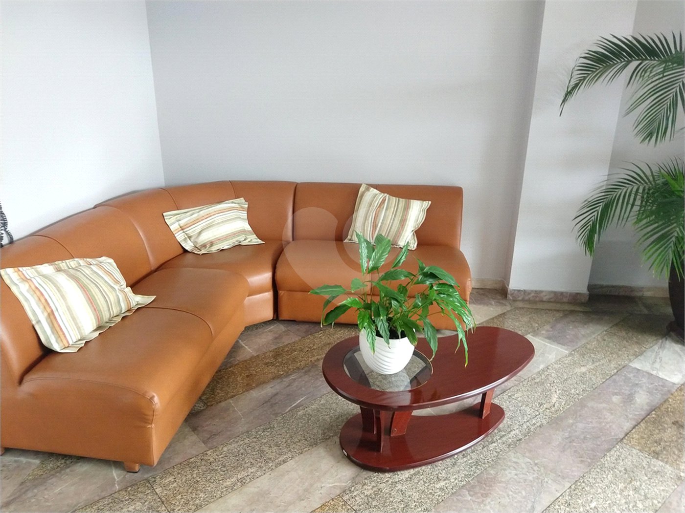 Apartamento à venda com 3 quartos, sendo 1 suíte, em Planalto Paulista, São Paulo, SP