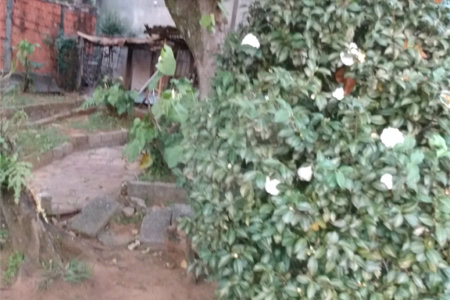 Casa Térrea à venda com 2 quartos em Água Fria, São Paulo, SP