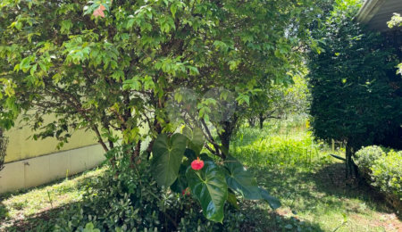 Terreno à venda com 1 quarto em Campo Grande, São Paulo, SP