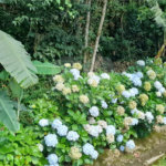 Terreno à venda em Roseira, Mairiporã, SP