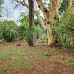 Chácara à venda com 2 quartos em Jardim Califórnia, Araraquara, SP