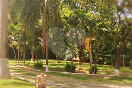 Chácara à venda com 8 quartos, sendo 5 suítes, em Chácara Belvedere, Indaiatuba, SP