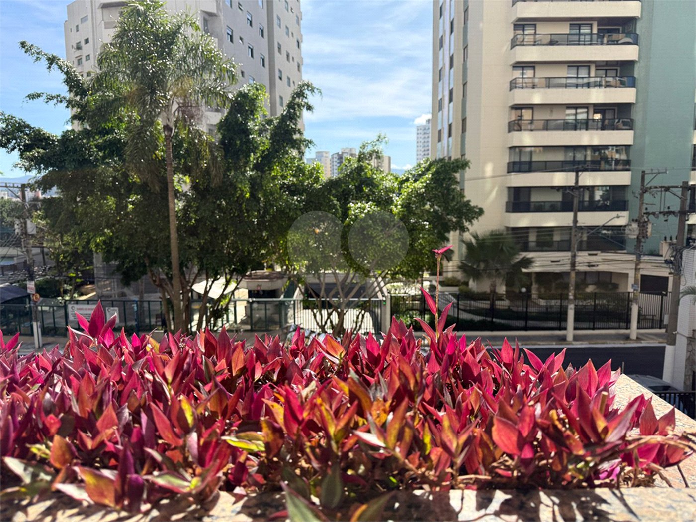 Apartamento à venda com 3 suítes em Santana, São Paulo, SP
