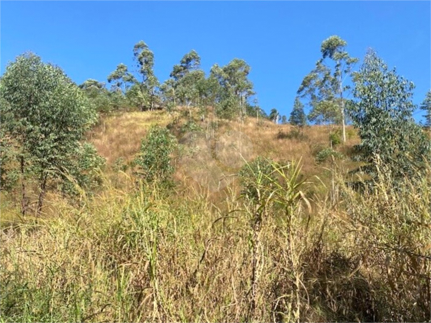 Terreno à venda em Caete (mailasqui), São Roque, SP