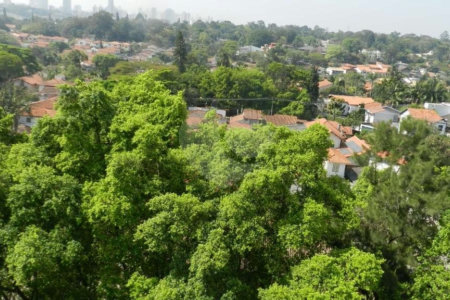 Apartamento à venda com 3 quartos, sendo 1 suíte, em Alto da Boa Vista, São Paulo, SP