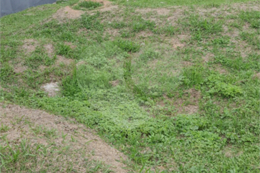Terreno à venda em Horto, São Paulo, SP