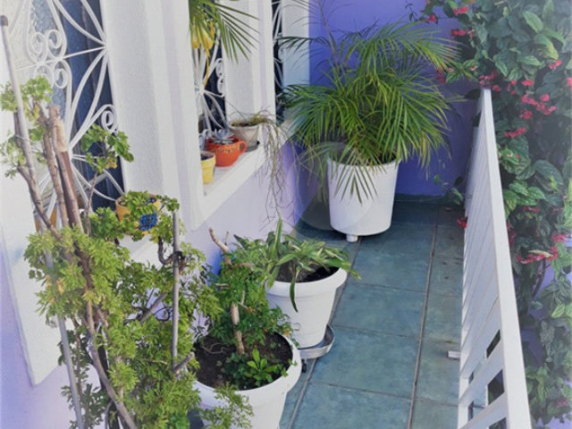 Sobrado à venda com 3 quartos, sendo 1 suíte,  em Tucuruvi, São Paulo, SP