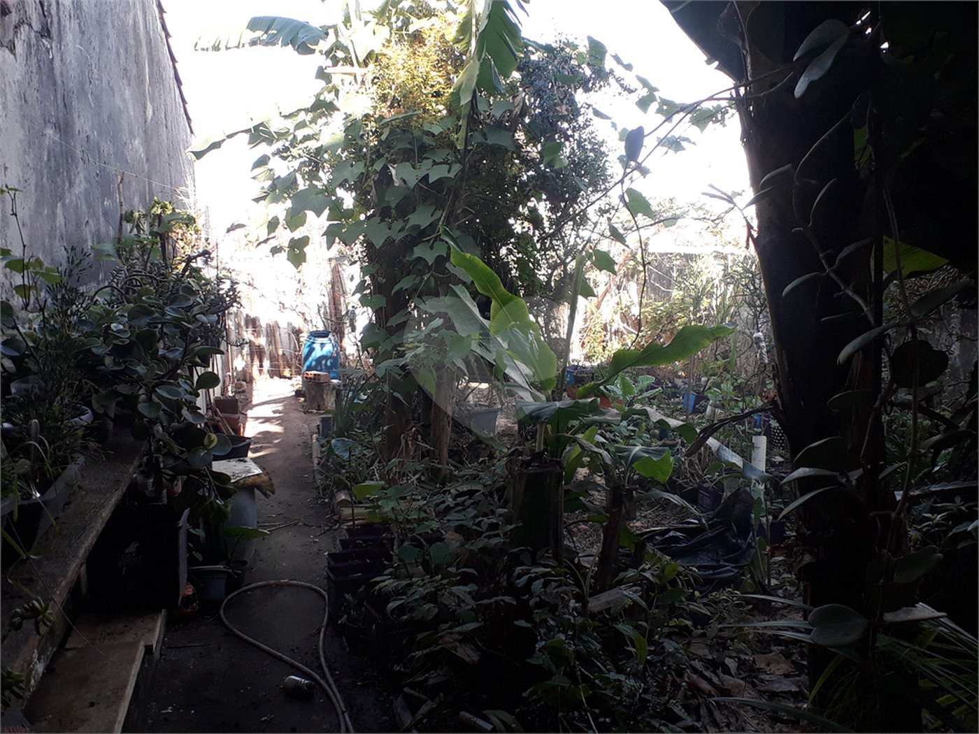Sobrado à venda com 4 quartos, sendo 2 suítes,  em Tucuruvi, São Paulo, SP