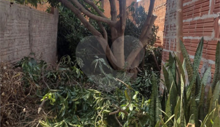 Terreno à venda em Jardim Pacaembu, São Carlos, SP