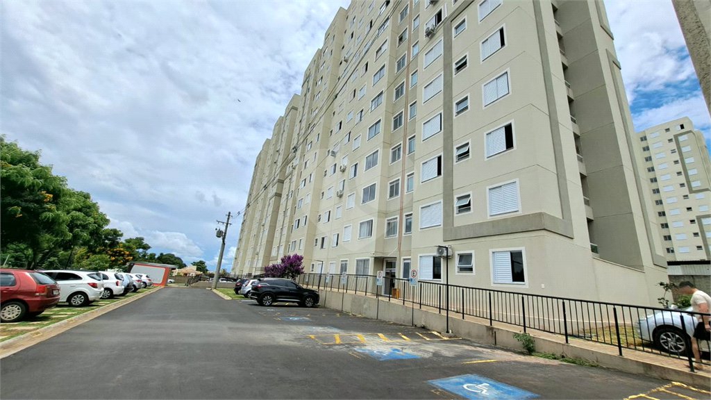 Monte dos Pinheiros — o começo de uma nova fase para sua família