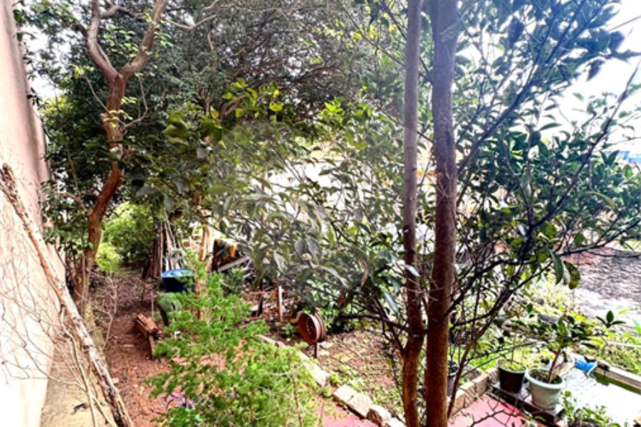 Terreno à venda em Vila Mazzei, São Paulo, SP