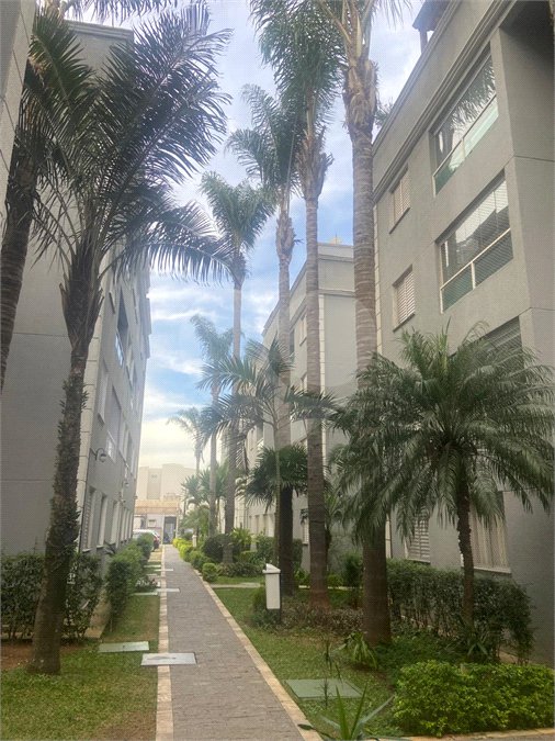 Apartamento à venda com 3 quartos, sendo 1 suíte,  em Vila São Pedro, Santo André, SP
