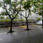 Apartamento à venda com 1 suíte em Vila Andrade, São Paulo, SP