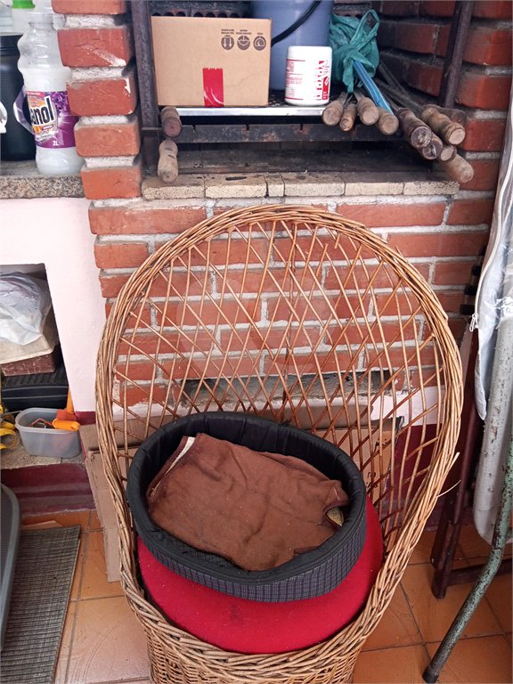 Sobrado à venda com 3 quartos em Casa Verde, São Paulo, SP
