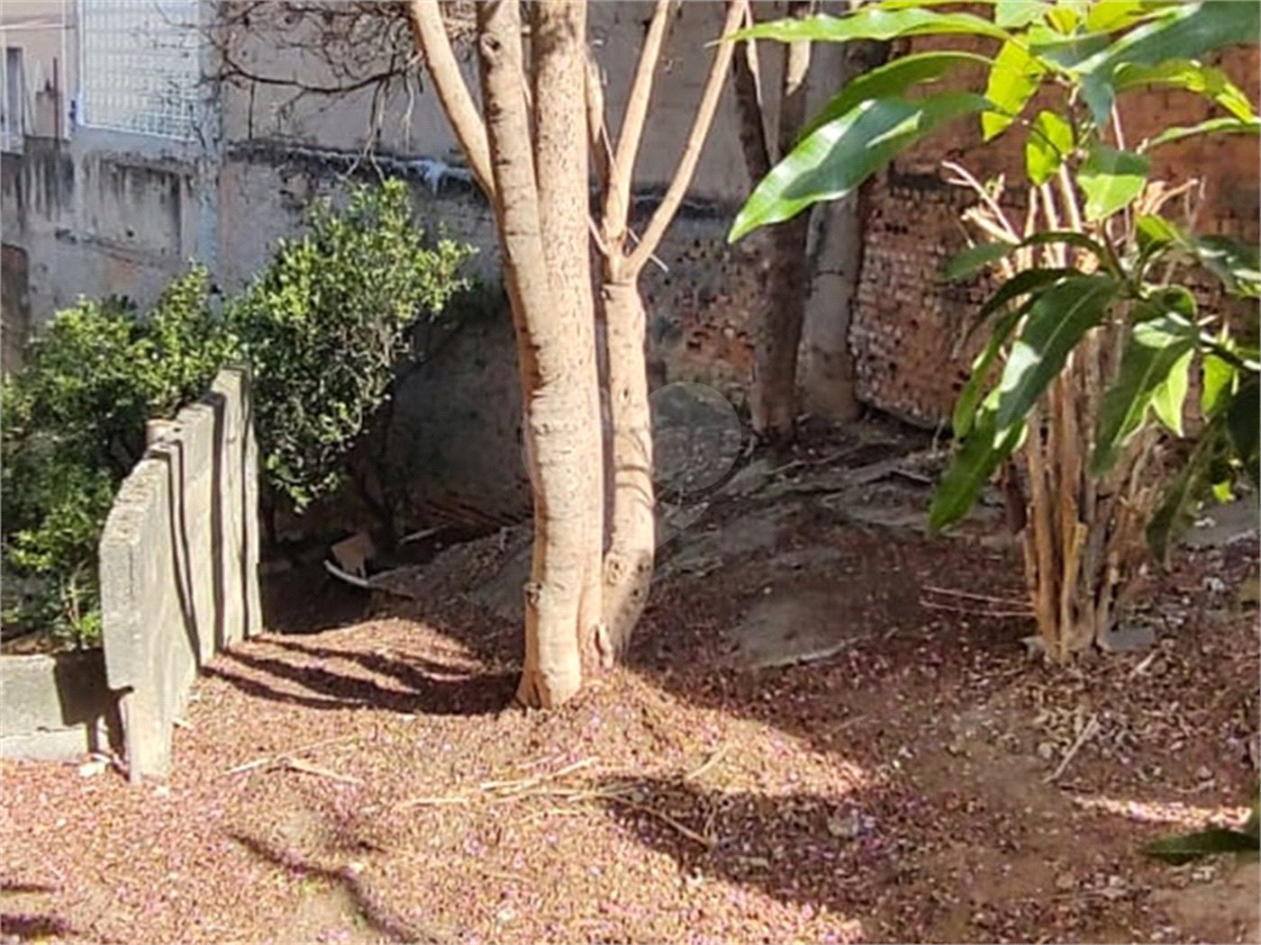 Terreno à venda em Vila Gustavo, São Paulo, SP