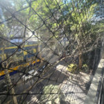 Apartamento à venda com 4 quartos, sendo 1 suíte, em Tijuca, Rio de Janeiro, RJ
