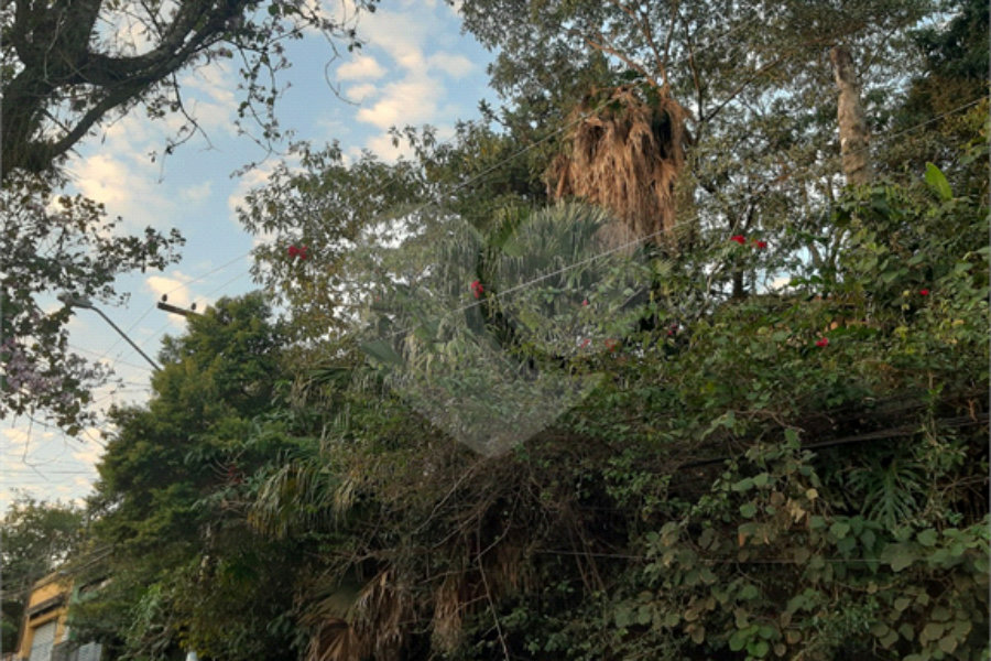 Terreno à venda em Vila Gustavo, São Paulo, SP