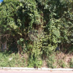 Terreno à venda em Tremembé, São Paulo, SP