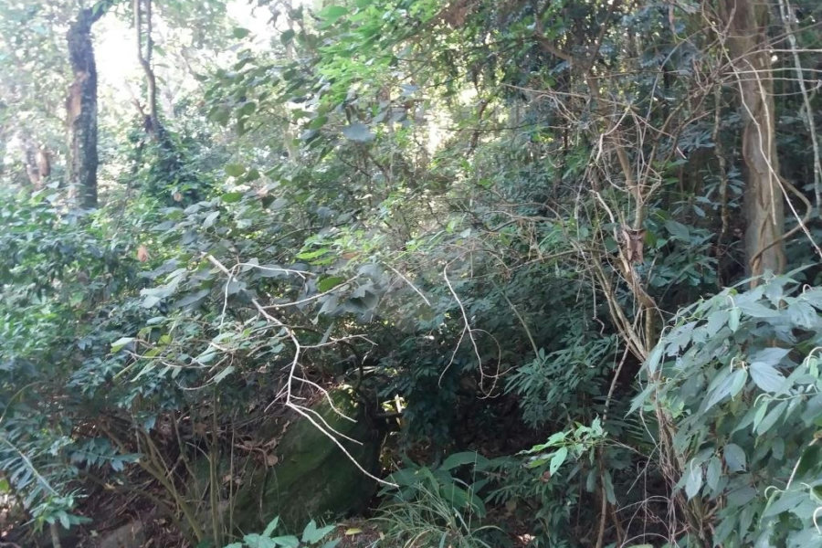 Terreno à venda em Tremembé, São Paulo, SP