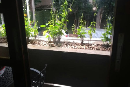 Casa à venda com 3 suítes em Jardim Olympia, São Paulo, SP