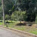 Terreno à venda com 3 quartos em Jardim Rizzo, São Paulo, SP