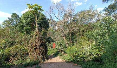 Sítio à venda com 2 quartos, sendo 1 suíte,  em Sorocamirim (canguera), São Roque, SP