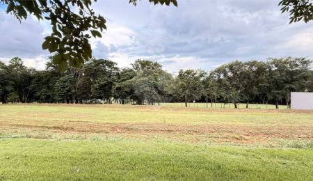 Terreno à venda em Vila do Golf, Ribeirão Preto, SP
